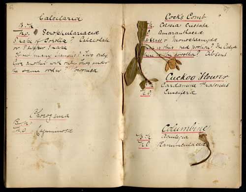 Botanical notebook of George Edward Roberts