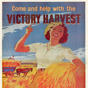 Victory Harvest